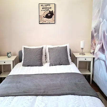 Apartment Beganengrond In Rustige Buurt Haarlem